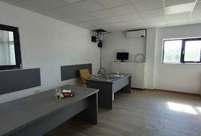 Magurele,hala 1000 mp,constructie noua ,ideal depozitare,productie - 13