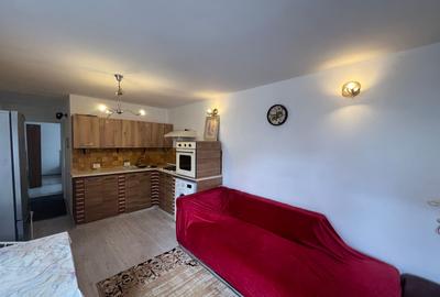 Apartament 2 camere la curte - 3