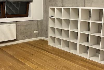 Vila individuala Iancu Nicolae -  Serban Cantacuzino - 38