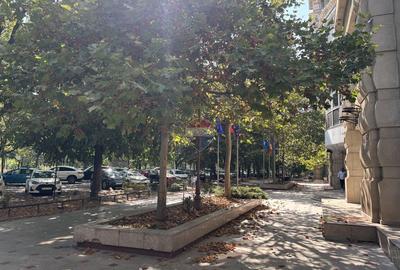 Garsonieră 45 mp, Bd. Unirii renovata, mobilată modern, gata de mutare - 13