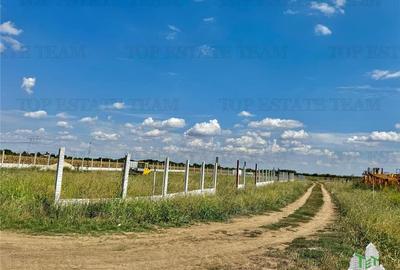 Teren Construcții intravilan de 40500 mp, în Frumușani