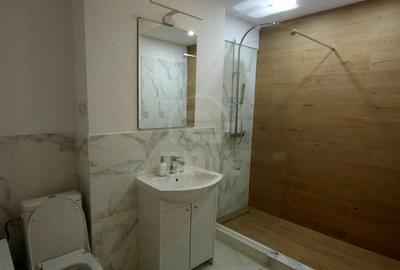 Apartament 2 camere cu gradina zona Tineretului - 8