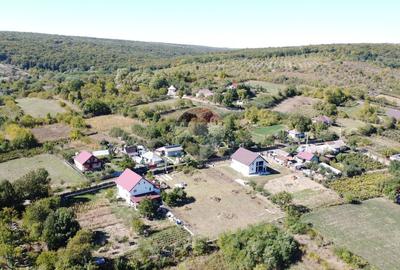 Teren Construcții intravilan de 1797 mp, în Dobrovăț