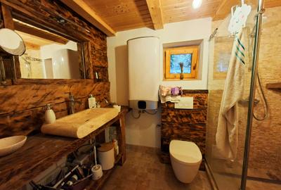 Casă de vacanță de vânzare – Săcărâmb, Munții Metaliferi - 5