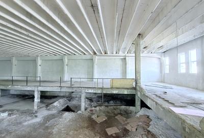 Hale din beton cu suprafata mare zona Cornisa - 5