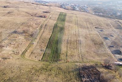 Teren agricol intravilan de 2747 mp, în Chinteni