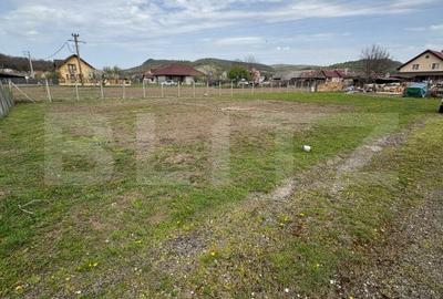 Teren Construcții intravilan de 800 mp, în Unirea