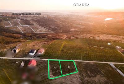 Teren intravilan de 805 mp, în Podgoria