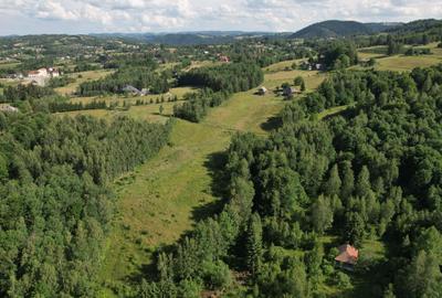 Exclusivitate | Teren de vanzare, 38.781 mp în Râșca - 8