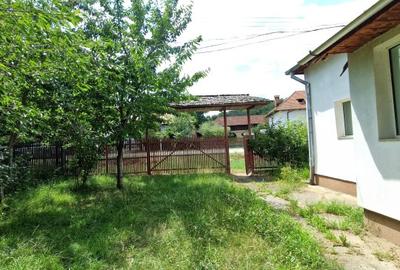 Balilesti - Stradal, casa spatioasa, 4600 mp teren intravilan - curte spatioasa - 4