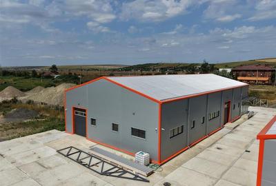Hale Letcani, gara, 583mp, 1166mp - 13