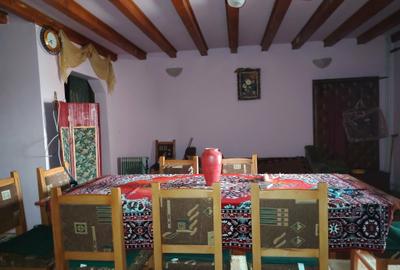 Proprietate de vacanta Valea Oltului - BREZOI - 7