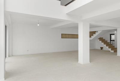 Vila Deosebita | Suprafata Utila 290 mp | Pipera - Matei Millo - 3