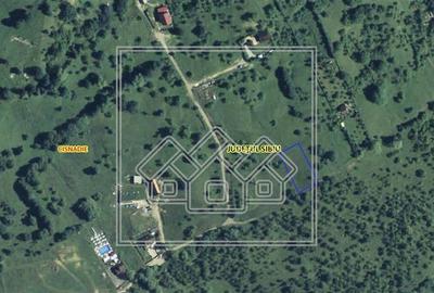 Teren Construcții intravilan de 1255 mp, în Cisnădioara