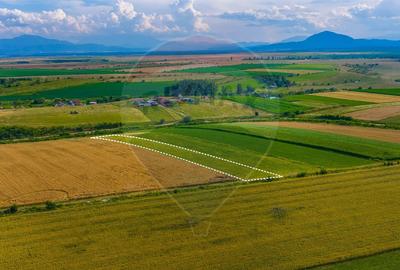 Oportunitate pentru fermieri: 10.800 mp teren arabil în Rotbav, Brașov - 7