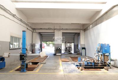 Hală industrială 1.168 mp | Adjud | Producție • Service • Logistică - 5