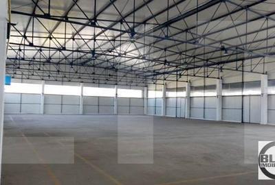 Spațiu industrial, de 1,088.00 mp, în Someșeni