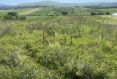 Teren Construcții de 6148 mp, în Sopor