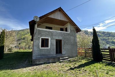 Casa cu teren langa râu Lotrioara - 3