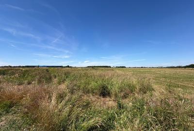 Teren agricol intravilan de 3550 mp, în Cârcea