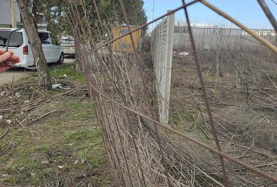 2500 mp teren industrial   stradal Popesti Leordeni - 7