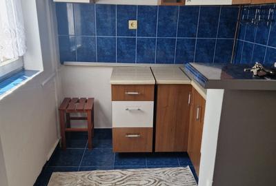 DE INCHIRIAT Apartament 1 camera, etaj 2 - zona Calea Buziasului - 4