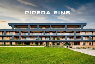 Pipera Eins