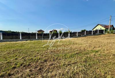 Teren intravilan pentru casa in Talmaciu - 12