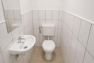 Spațiu comercial, Hale -  de INCHIRIAT in Someseni - 9