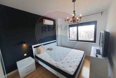 INCHIRIERE Apartament cu 2 camere in zona Domenii - 13
