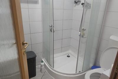 Domenii Inchiriez casa singur in curte 4 cam 4 bai curte libera 150 mp centala g - 9