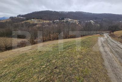 Teren Construcții extravilan de 13139 mp, în Abrud
