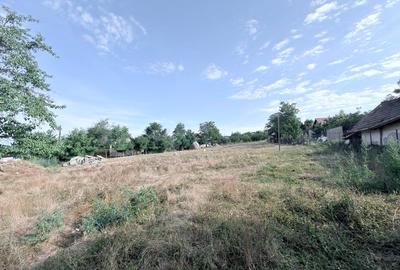 Teren Construcții intravilan de 2300 mp, în Răchiți