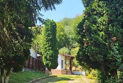 Oferta vanzare casa si teren 1697 mp in Stefanesti, 97000 EURO - 15