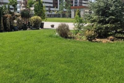 Apartament 1 camera Etaj 1 Comision 0% - 2