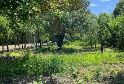Casă de vânzare – Puchenii Mari, la 15 km de Ploiești - 11