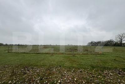 Teren Construcții intravilan de 695 mp, în Giroc