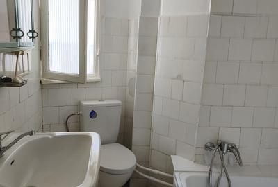 Apartament 2 camere Gradina Botanica/ Palatul Cotroceni - 14