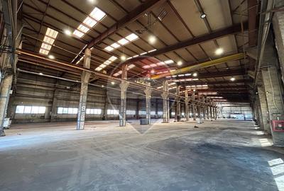 Hală Producție Industrială / Logistica 4000mp Berceni Metrou 800kW - 2