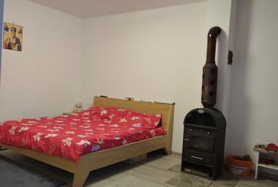 FARA COMISIOANE zona linistita aer curat casa mobilata 3 camere P +M teren 755mp - 16