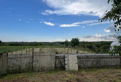 🏡 CASĂ + TEREN INTRAVILAN 4.971 MP – URECHEȘTI, VRANCEA - 12