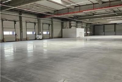 Spatiu Industrial - 3500 mp - Productie - Depozitare - Distributie - 7