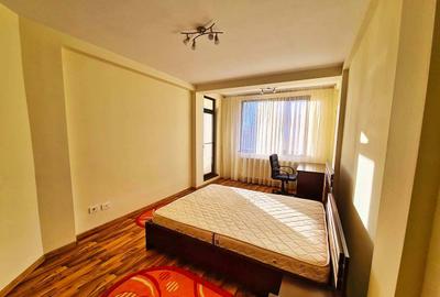 INCHIRIERE APARTAMENT DOUA CAMERE-BUCURESTII NOI - 12