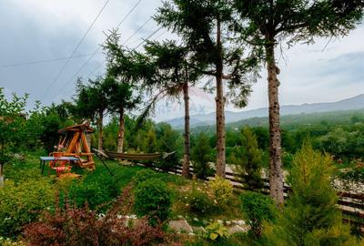 Pensiune de vânzare, Corbșori (Poenari)| potențial real de Business - 38