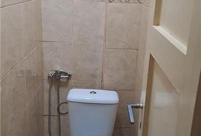 Apartament 2 camere COPOU - 8