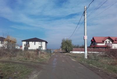 Domnesti-Ilfov,Str. Radului-Mimozei,teren constructii-case-vile cu uttilitati - 3