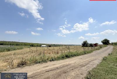 Vanzare Teren cu potențial excelent de vânzare – Zona Smârdan! - 5