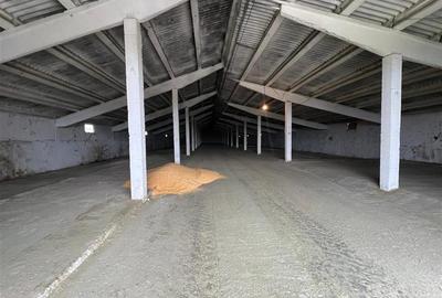 Hale de inchiriat localitatea M. Kogalniceanu Tulcea - 10