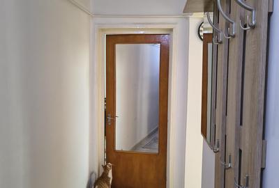 Apartament 2 camere,decomandat, garaj, boxa si centrala proprie - 8