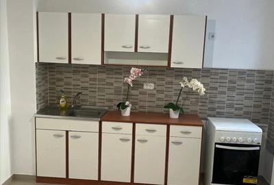 AP 2 CAM DE VANZARE RENOVAT RECENT . - 8